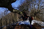 Alla croce del Monte Ocone (1363 m) dalla Forcella Alta il 20 febbraio 2016 - FOTOGALLERY